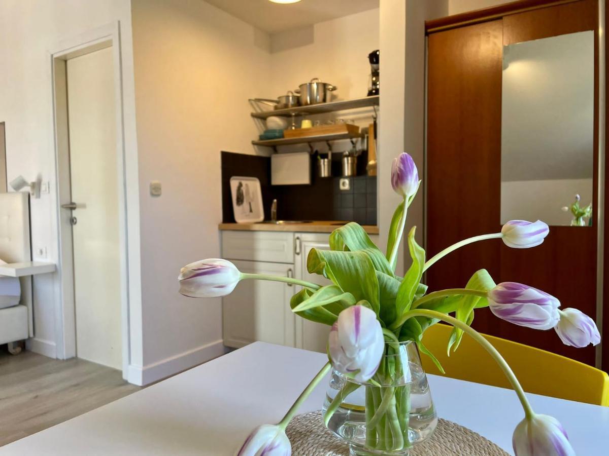Apartments Carol Cavtat Zewnętrze zdjęcie